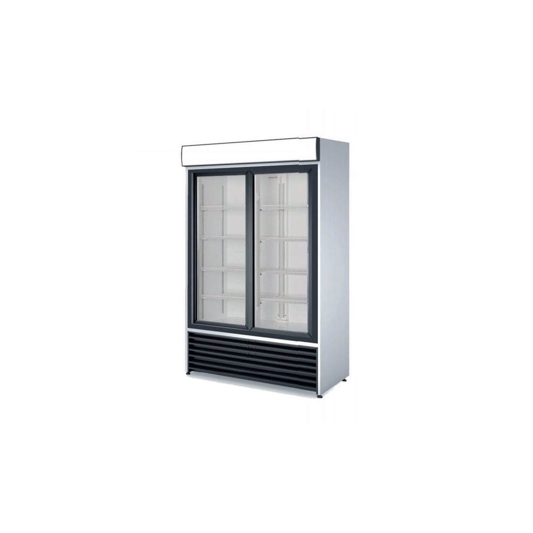 Armario expositor profesional RVCS-1000 2 puertas