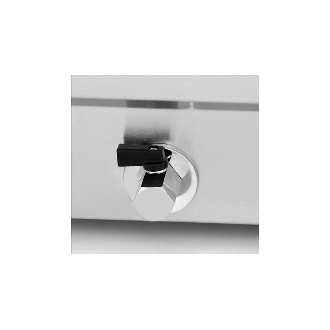 Vitrina profesional caliente al baño maría BM-4